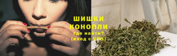 СК Гусиноозёрск